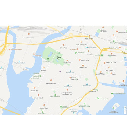 TrackCat | GPS-Katzenortungssystem mit Echtzeit-Updates 2