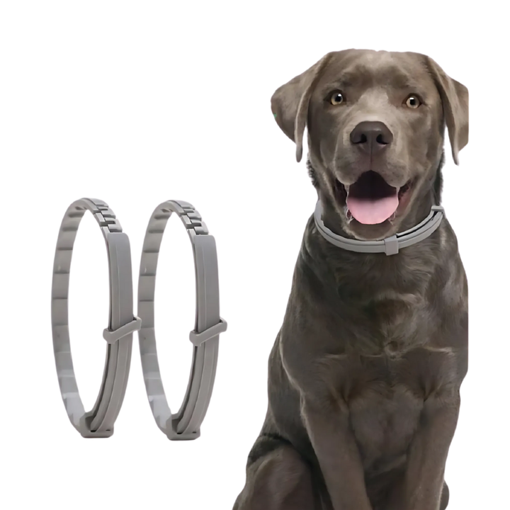 Zeckenschutz-Halsband für Hunde & Katzen – Pflanzlich & Wasserfest 0
