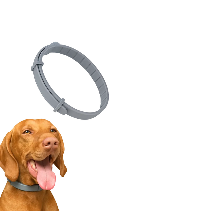 Zeckenschutz-Halsband für Hunde & Katzen – Pflanzlich & Wasserfest 2