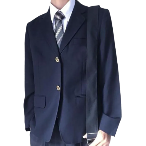 Blazer homme avec coupe classique, patte de boutonnage simple et fermeture à boutons | Col à revers